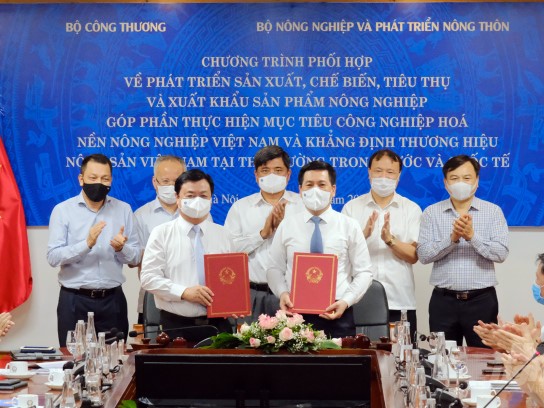 Hợp tác phát triển sản xuất, chế biến, tiêu thụ và xuất khẩu sản phẩm nông nghiệp