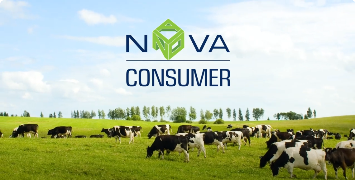 Giới thiệu về Nova Consumer 2022